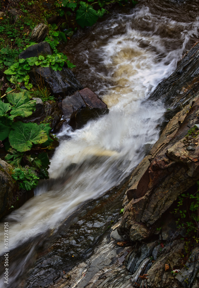 Obraz premium stream in the mountains