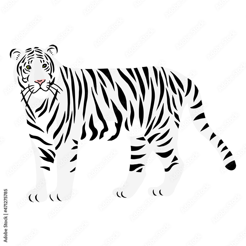 ホワイトタイガーの全身 白い虎 フラットイラスト Stock Vector Adobe Stock