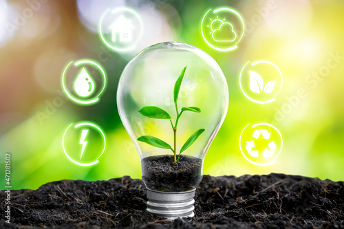 Fotografia Environmental protection, renewable, sustainable energy sources, Energy saving, save world, sustainable development