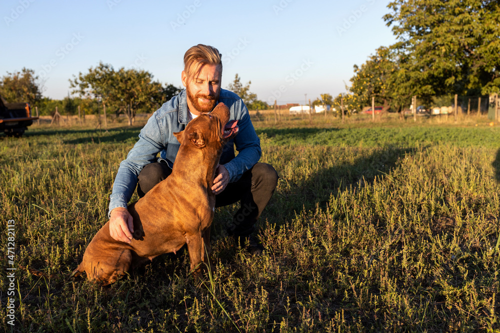 Human and canine spending time on the open field gaining mutual trust and companionship Human and canine spending time on the open field gaining mutual trust and companionship