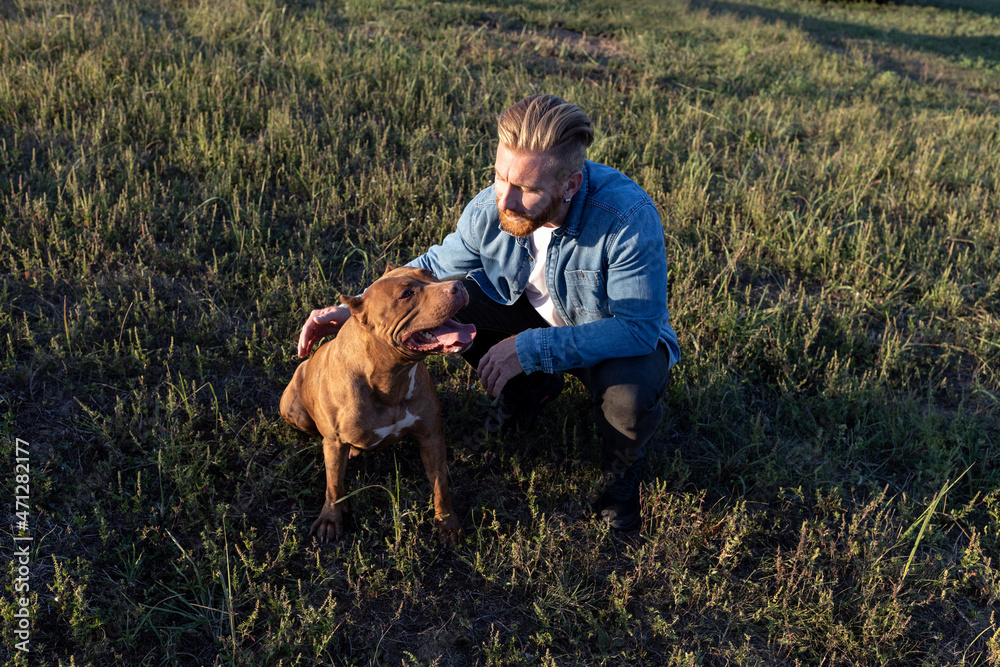 Human and canine spending time on the open field gaining mutual trust and companionship Human and canine spending time on the open field gaining mutual trust and companionship