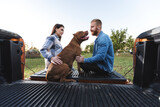 Couple sitting on the back of their pickup truck accompanied with their American bully dog friend enjoying a beautiful day in the countryside