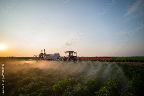 Tractor spraying pesticides on vegetable field with sprayer
