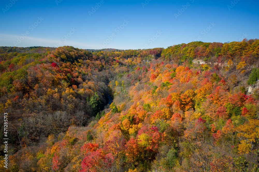Beautiful Fall colours views of the Spencer Gorge along the Dundas Peak trail in Hamilton, Ontario, Canada. The sky is cloudless blue.