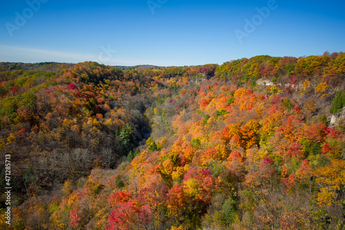 Beautiful Fall colours views of the Spencer Gorge along the Dundas Peak trail in Hamilton  Ontario  Canada. The sky is cloudless blue.
