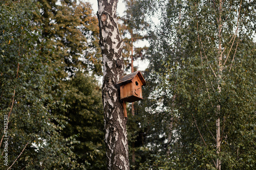 An empty handmade birdhouse on a tree in park. The birds flew away. 