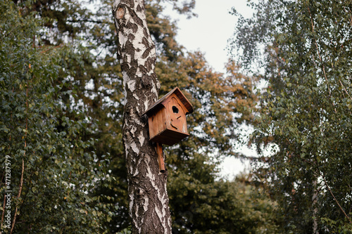Fototapeta Naklejka Na Ścianę i Meble -  An empty handmade birdhouse on a tree in park. The birds flew away. 