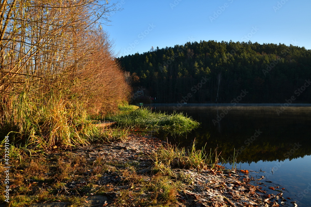 Lichtdurchflutetes Ufer Lichtdurchflutetes Ufer