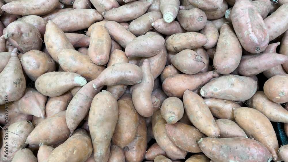 Sweet Potatoes pan of piles on display Sweet Potatoes pan of piles on display