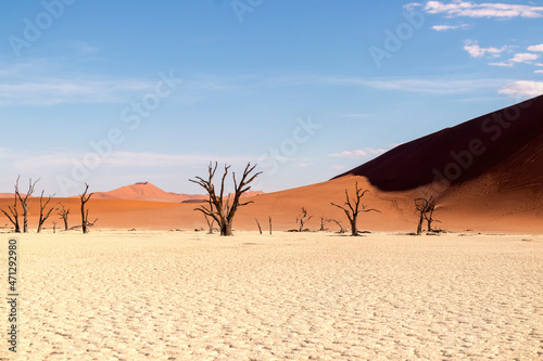 The famous place Deadvlei. Beautiful landscape in the Namib desert