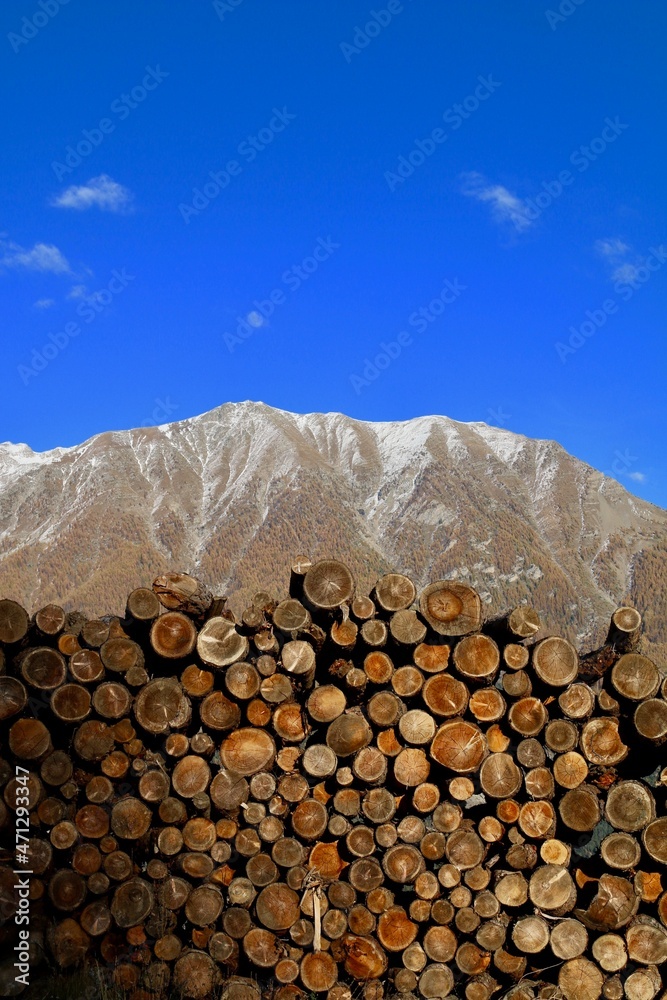 Le tas de bois et la montagne
