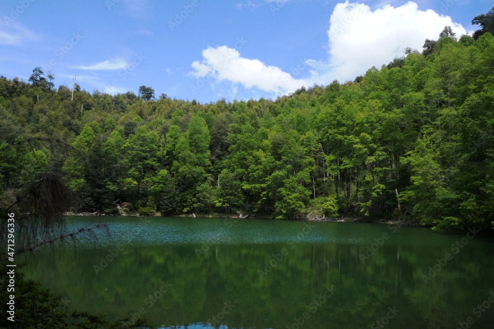 Lago NN, region de la araucania (IX), Chile Lago NN, region de la araucania (IX), Chile