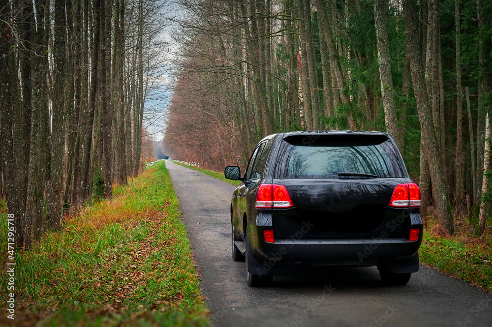 Belarus, Belovezhskaya Pushcha, November 05, 2021 - a Toyota Land Cruiser jeep rides along the road in the autumn forest, rear view.