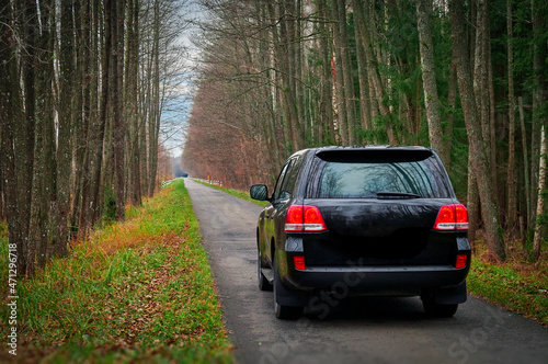 Belarus, Belovezhskaya Pushcha, November 05, 2021 - a Toyota Land Cruiser jeep rides along the road in the autumn forest, rear view. photo