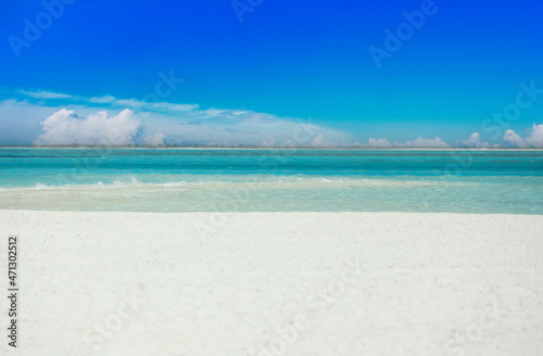 Idyllic Beach with Palm Trees at the Maldives, Indian Ocean