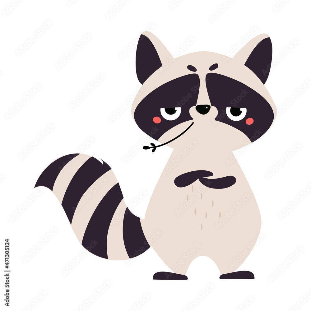 Fototapeta premium Cute Raccoon Character with Ringed Tail Standing and Chewing Grass Blade Vector Illustration