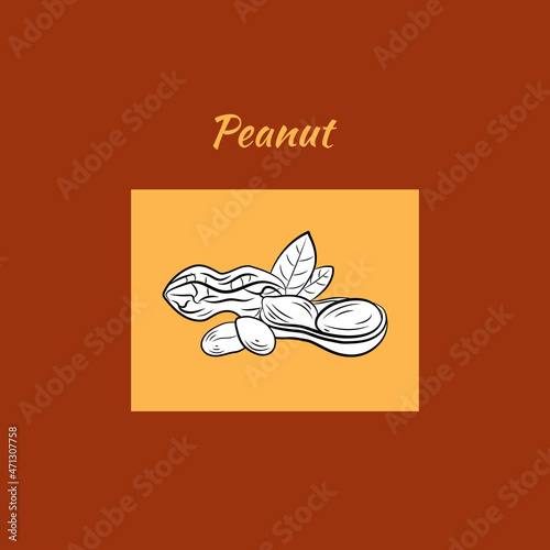 illustration  Peanut with leaves  black and white icon template isolated  colored background.