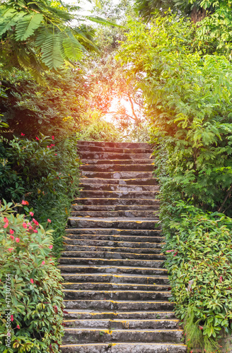 old stairs in the park