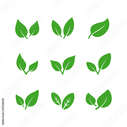 Set glyph icons of eco leaf