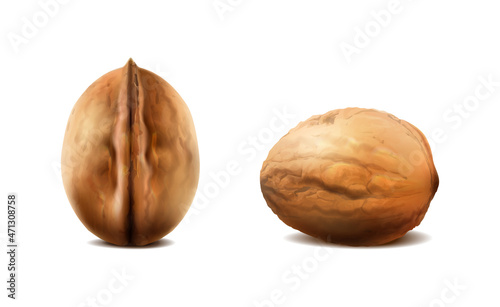 3d realistic vector icon. Walnuts in the shell in different shapes. Isolated on white.