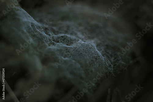 A creepy texture of a spiderweb. Abstract detal from a spider's home.