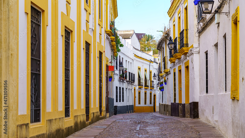Panoramic view of narrow alley with colorful houses in the tourist town of Cordoba, Spain.