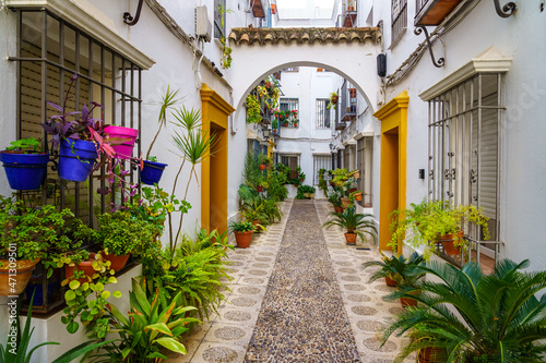 Picturesque alley of white houses with flowerpots, plants and flowers in the city of Cordoba, Spain. © josemiguelsangar