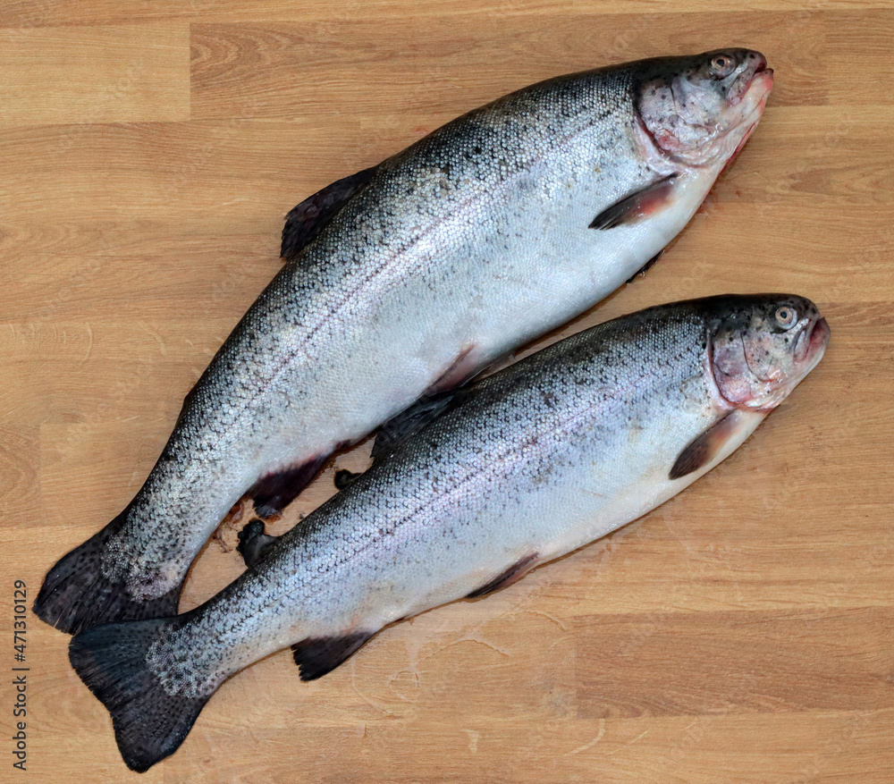 Two freshly caught trout on a wooden background. Fish for dinner. Preparation of freshly caught fish Two freshly caught trout on a wooden background. Fish for dinner. Preparation of freshly caught fish