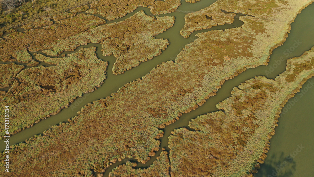 Aerial photo of tropical swamp in vegetated wetland
