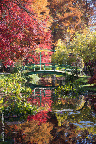 Bridge over Water in the Fall