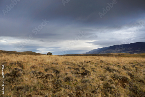 Field with yellow grass, Iceland