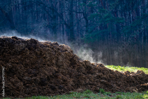 Quadro su tela A pile of cow dung as a symbol of methane pollution of the atmosphere