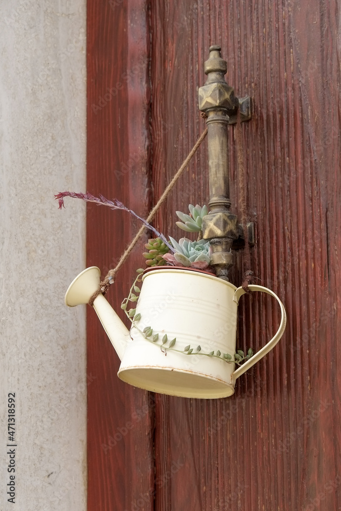 small watering can with a succulent seedling hanging from a door