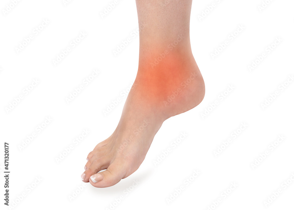 Ankle pain, painful point isolated on white background. Woman with ankle pain holding her aching leg - body pain concept. Joint pain.