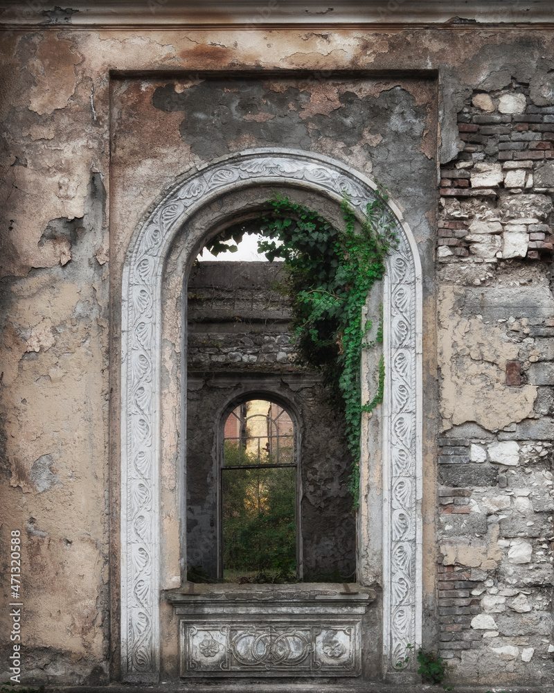Window in an abandoned, ruined old building with rich classic decor and green loach plant