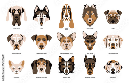 Dogs Breeds Set