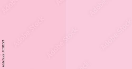  monochrome pink color palette, delicate pink, delicate flamingo color 
