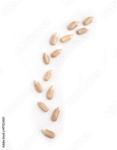 peeled sunflower seeds seeds isolated on white background