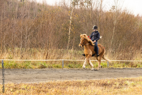 Halloween Día de los Muertos rider on Icelandic horse. RIder with skeleton mask on horse