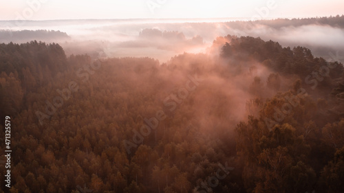 Sunrise in the National Park "Ugra"