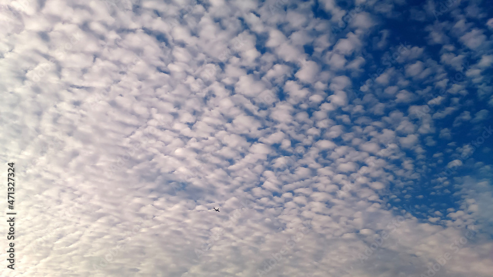 ひつじ雲と飛行機