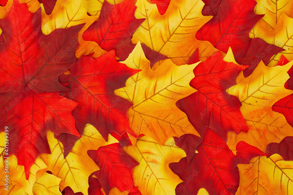 Red and yellow autumn leaves fall background