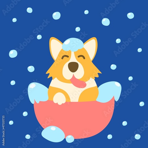 Cute Welsh Corgi playing bubbles in the bath. Grooming dog. Grooming pets. Cartoon flat vector illustration. Illustration about pet grooming and healthcare for graphic, content, banner, sticker label. photo