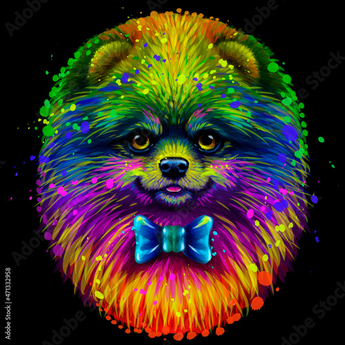 Spitz. Abstract, neon, artistic portrait of a cute Pomeranian  small German spitz dog  in the style of pop art on a black background. Digital vector graphics