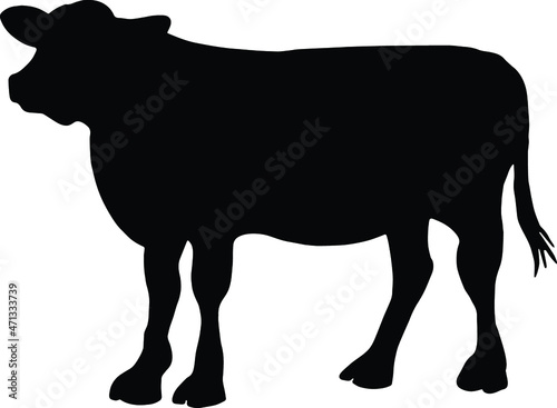 Cattle Silhouette SVG Cattle SVG PNG