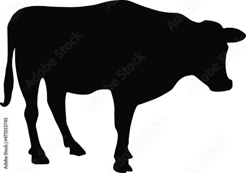 Cattle Silhouette SVG Cattle SVG PNG