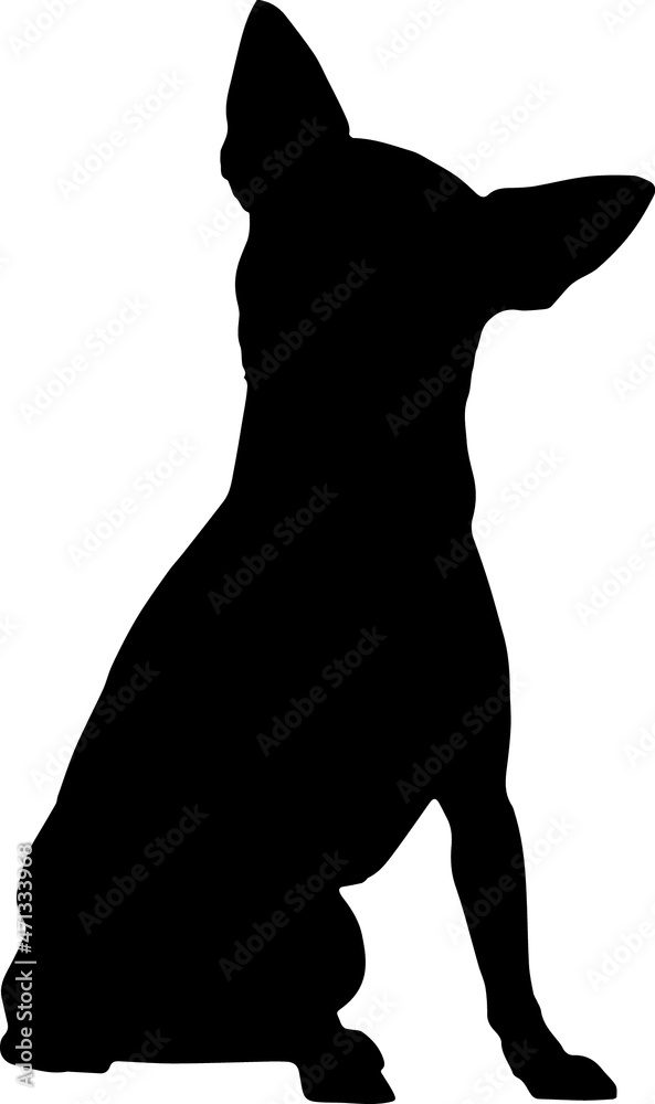 Chihuahua Silhouettes SVG Chihuahua Vector Stock Vector | Adobe Stock