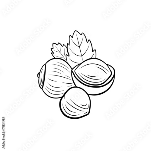 hazelnut illustration, nuts group with leaves isolated on white background, black lines.