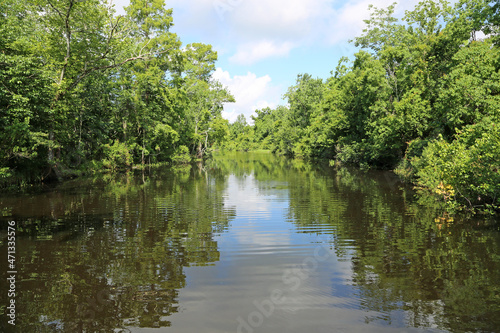 Trip on Cajun Swamp  Louisiana