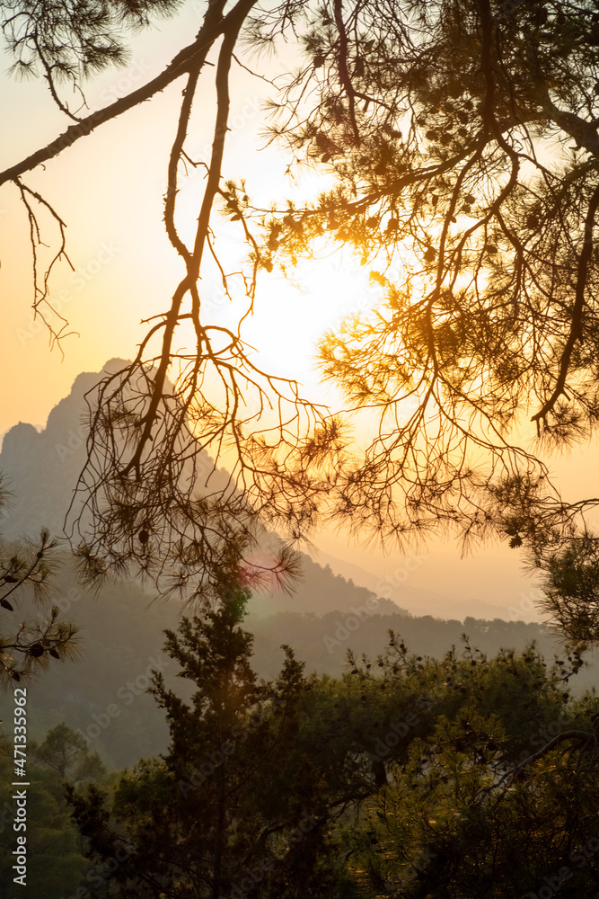 Scenic view of mountains against sky during sunset,through trees .